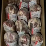 394前后龟腱