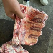 125厂牛背骨