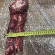1113A级脖骨
