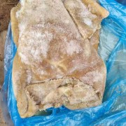 国产牛肚