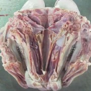 大红门冷鲜肉