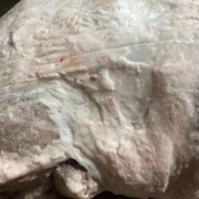 巴西160二号肉