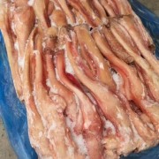 马蹄筋
