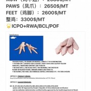 凤爪可以提供记录