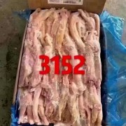 牛蹄筋