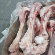 牛腿骨