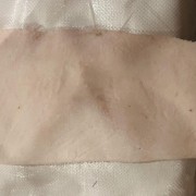 C皮
