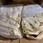 美国8厂牛心管