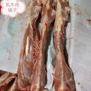 乳牛全肉脊骨