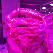 猪肉