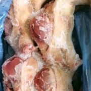 皇冠320带耳猪