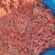 三文鱼边角料碎肉