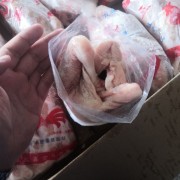 二级三黄鸡