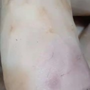 公牛头皮