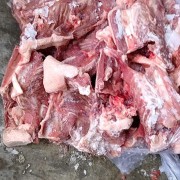 华英带尾鸭壳