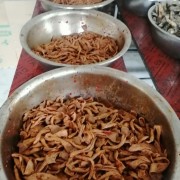 全熟鸭食带