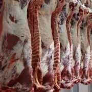 澳洲牛羊肉
