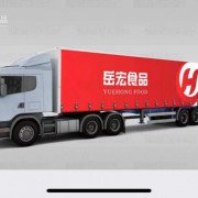 荷兰61前肘