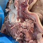 100吨牛头肉