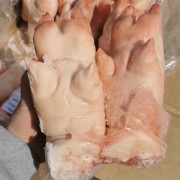 17-19一级蹄