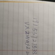 鸭翅中