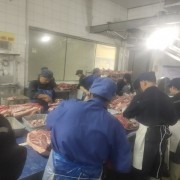 黑毛猪白条