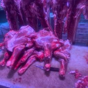鲜羊肉