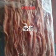 小鸭生肠