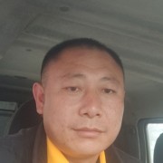 巴马香猪