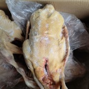 冻品全番鸭