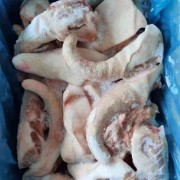 意大利361猪尾