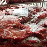 牛前肉牛后肉