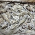 比管鱼