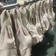 牛肚