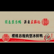 鸭产品