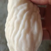 羊蛋皮