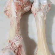 纯圆牛棒骨