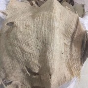 毛肚盐底板