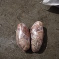 牛宝