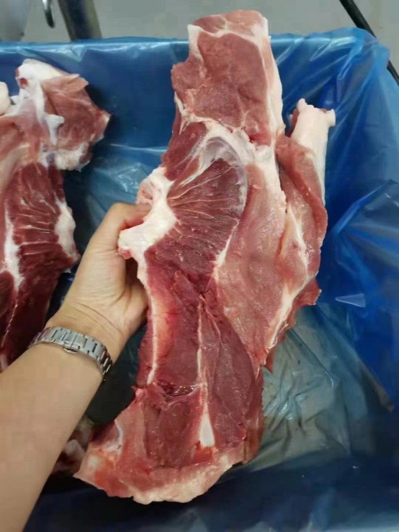 母猪尾叉骨