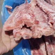 帕特尔龙骨，