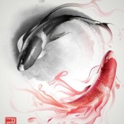 55厂前后龟
