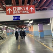 巴西114厂带皮