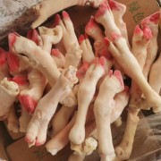 纯干羊蹄