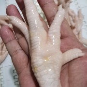 凤爪