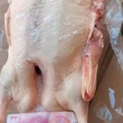 老鸭白条