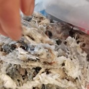 鲮鱼骨出售