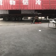 716单冻翅中