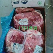 1751背肩
