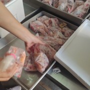 精品乳鸽